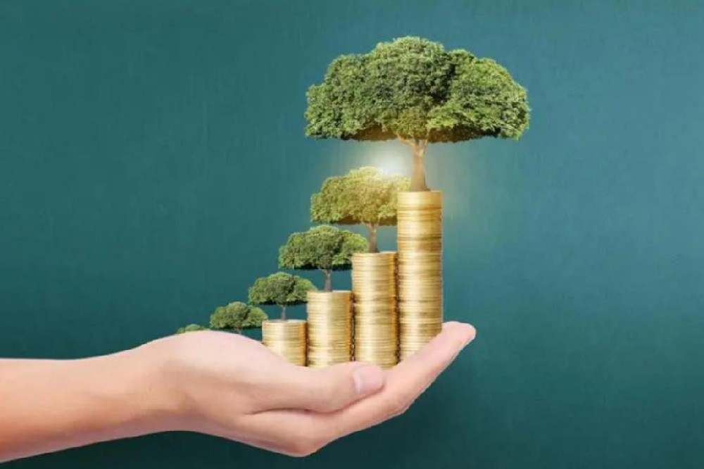 徐州民间空放私人借款全天候专业服务